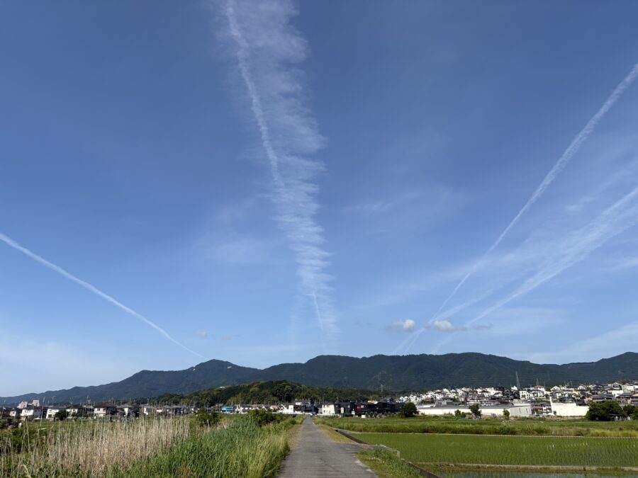 朝の風景_ランニング