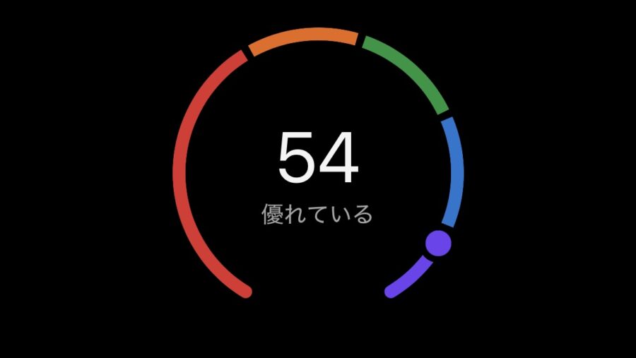 VO2MAX_数値