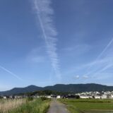 【月刊ランガジェ7月号】2025年6月 ランニング 月間記録