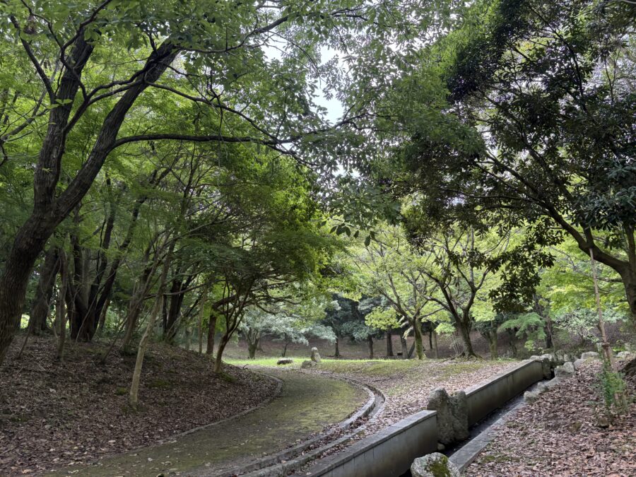 2509_緑地公園