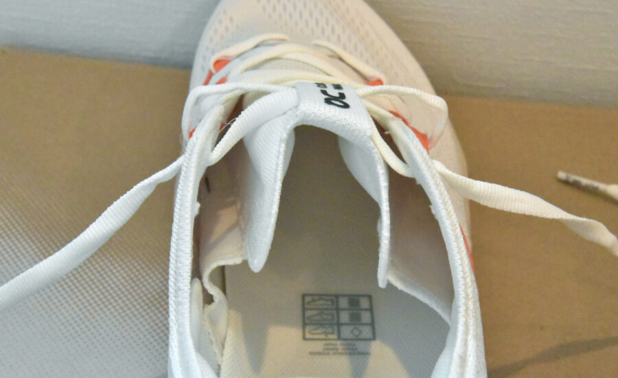 オン_クラウドサーファーマックス_シュータン